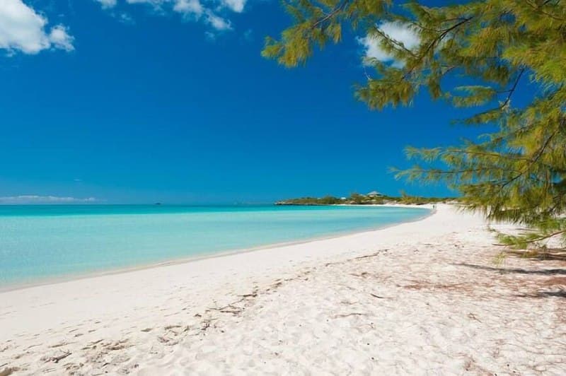 Taylor Bay Beach